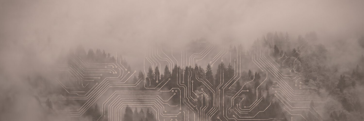 micheldegraaf's profile banner image
