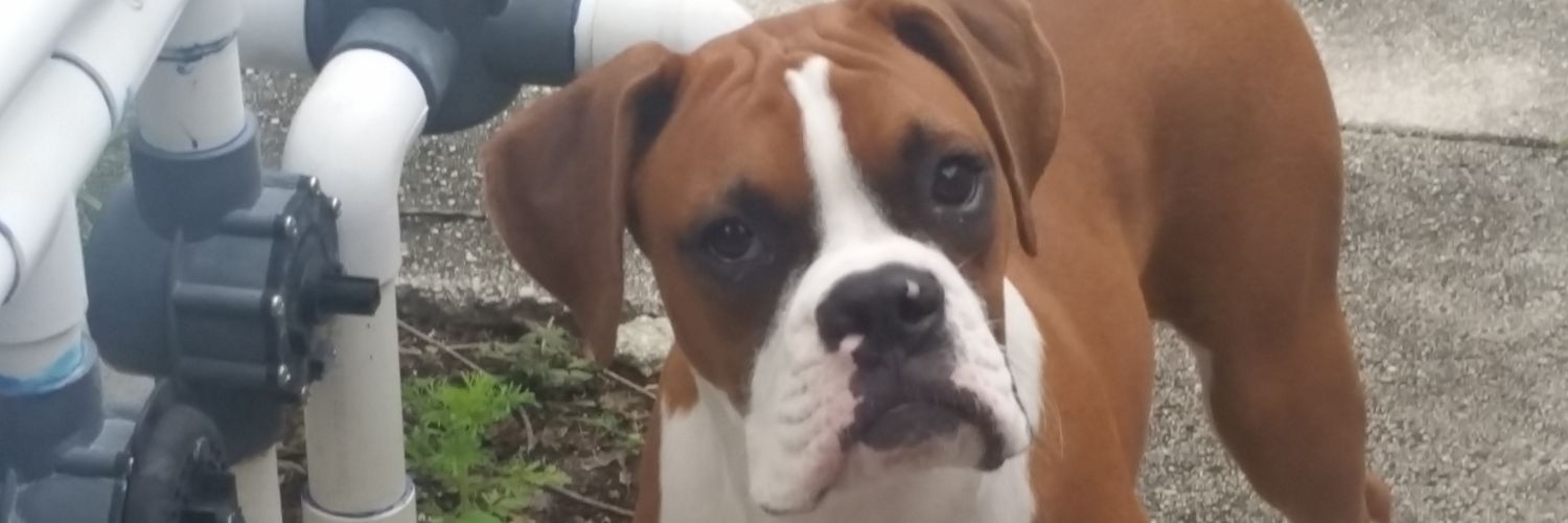 Snoop813's profile banner image