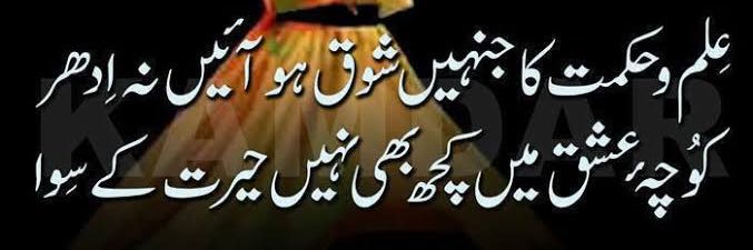Zeb Shabbir banner