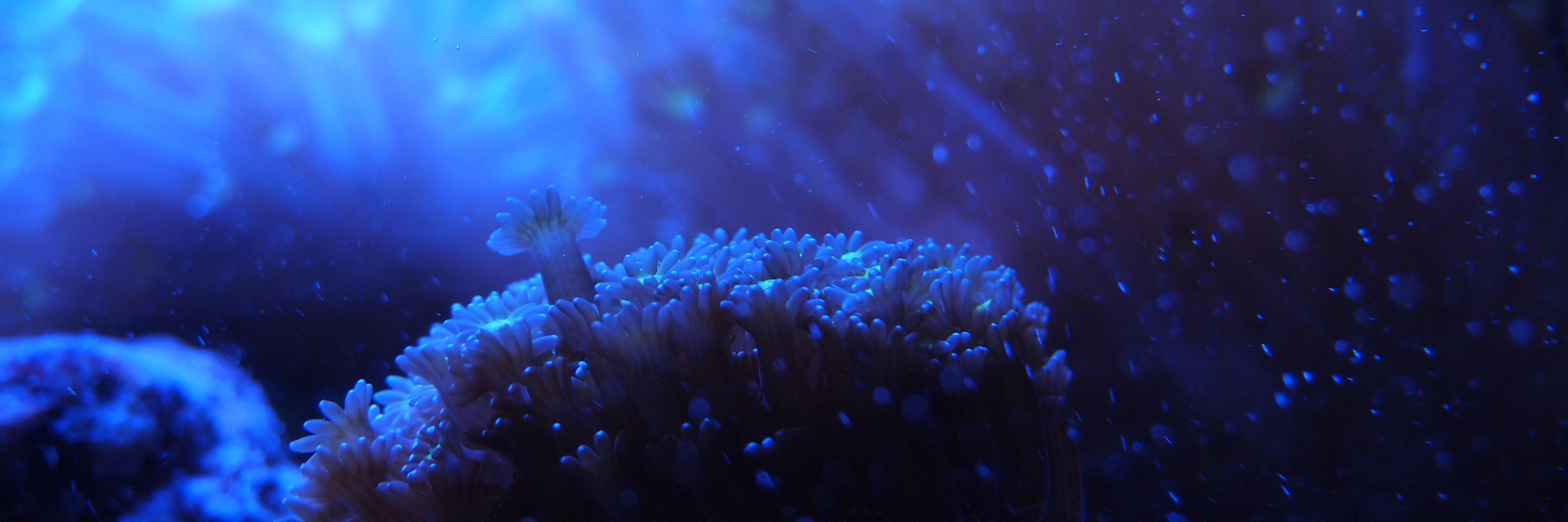 winterble1's profile banner image