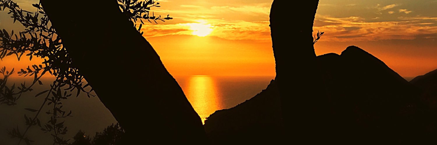 laneylost's profile banner image