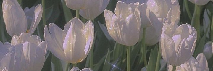 emstwt's profile banner image