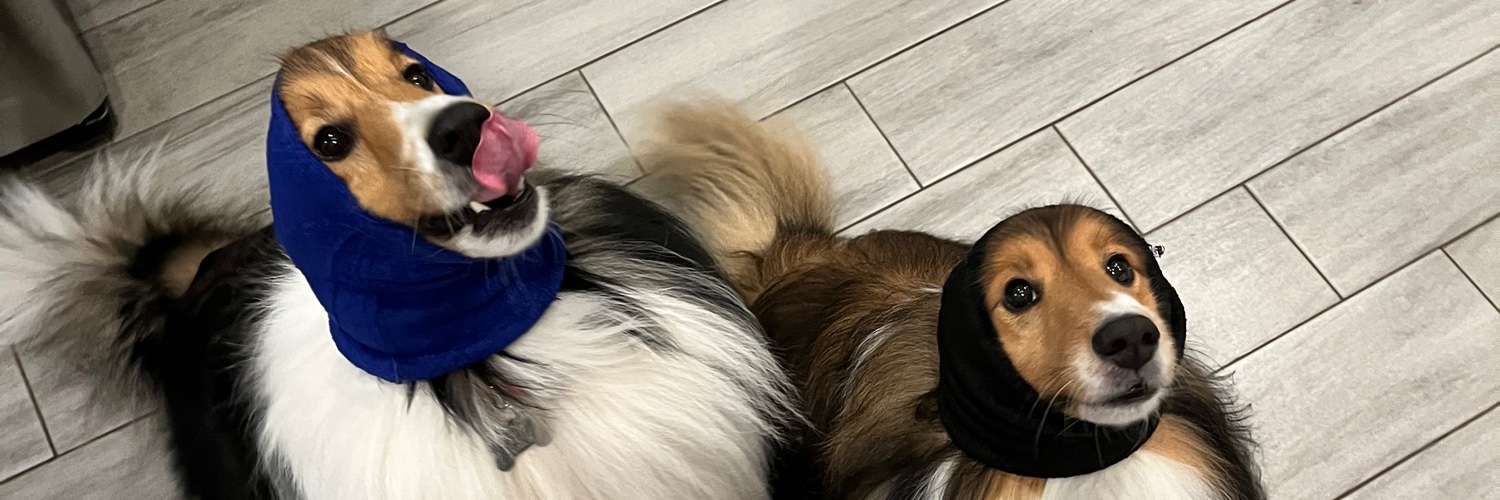 candacebrooks_'s profile banner image