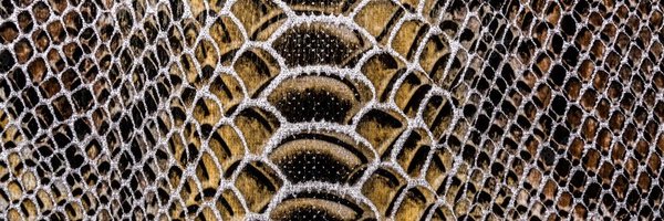 skinflaker Profile Banner