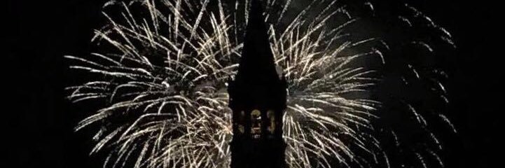 Davide Milani banner