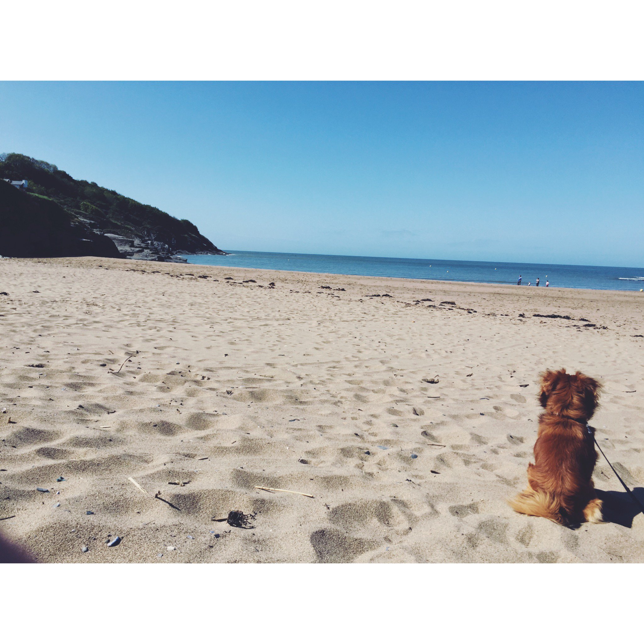 becci_mapp's profile banner image