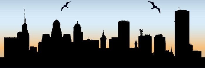 ColleenLaderer's profile banner image