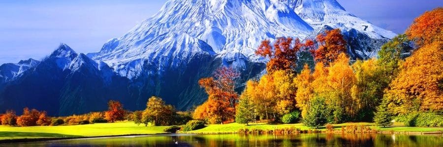 RoshaneM's profile banner image