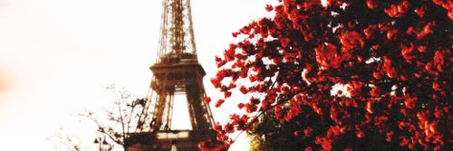 CdeCharini's profile banner image