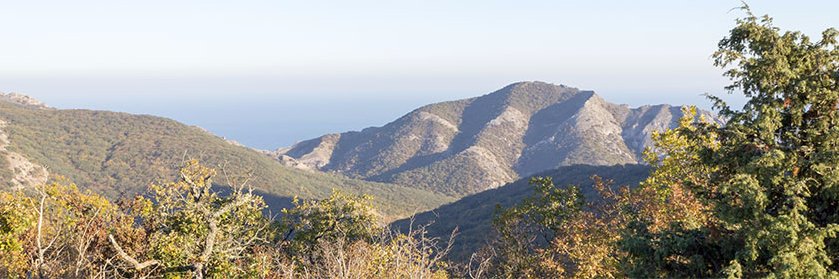 otograf07's profile banner image