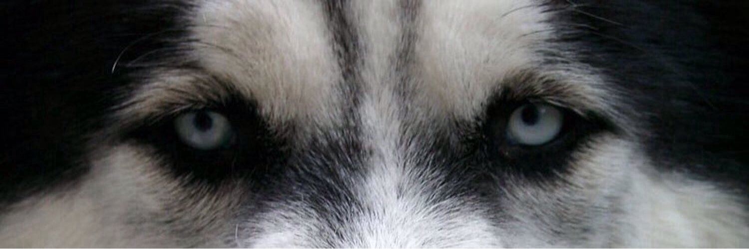 the_R00ST's profile banner image