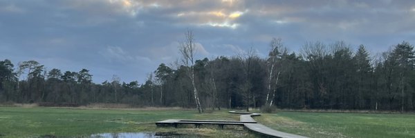 ilegne Profile Banner