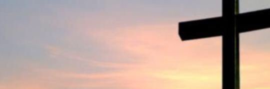 Coltonhaskin's profile banner image