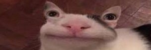 AlexiisElNub's profile banner image