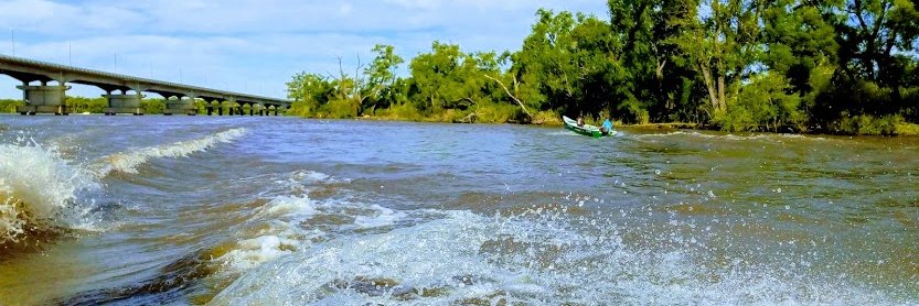 Diego Fiori 🇦🇷🏳️‍🌈 banner
