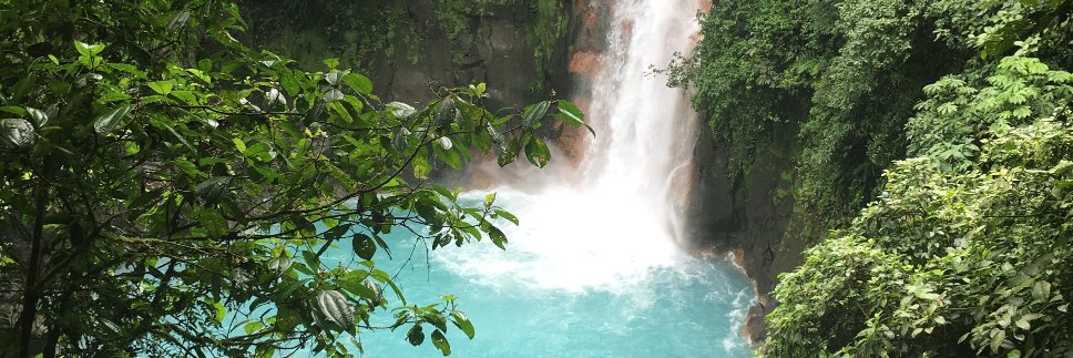 Lyane Dubarry-Coucou banner