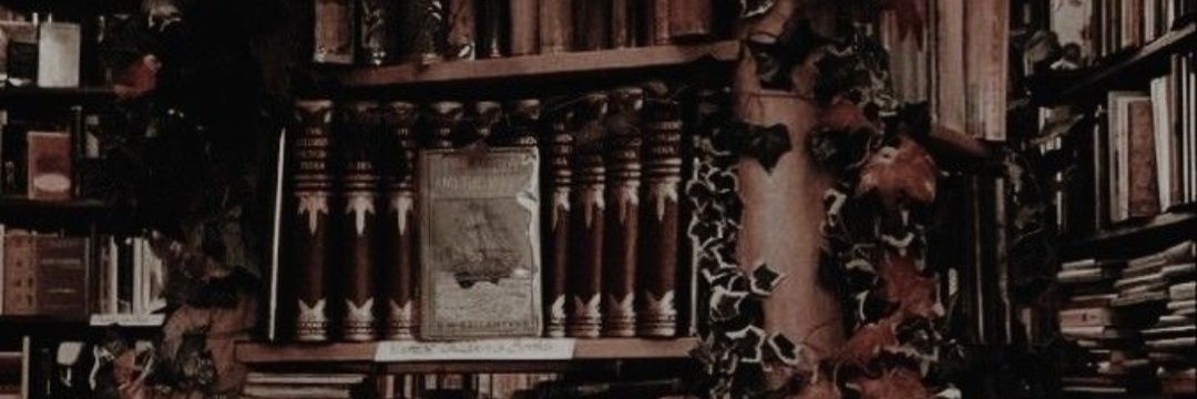 sleepybvn's profile banner image