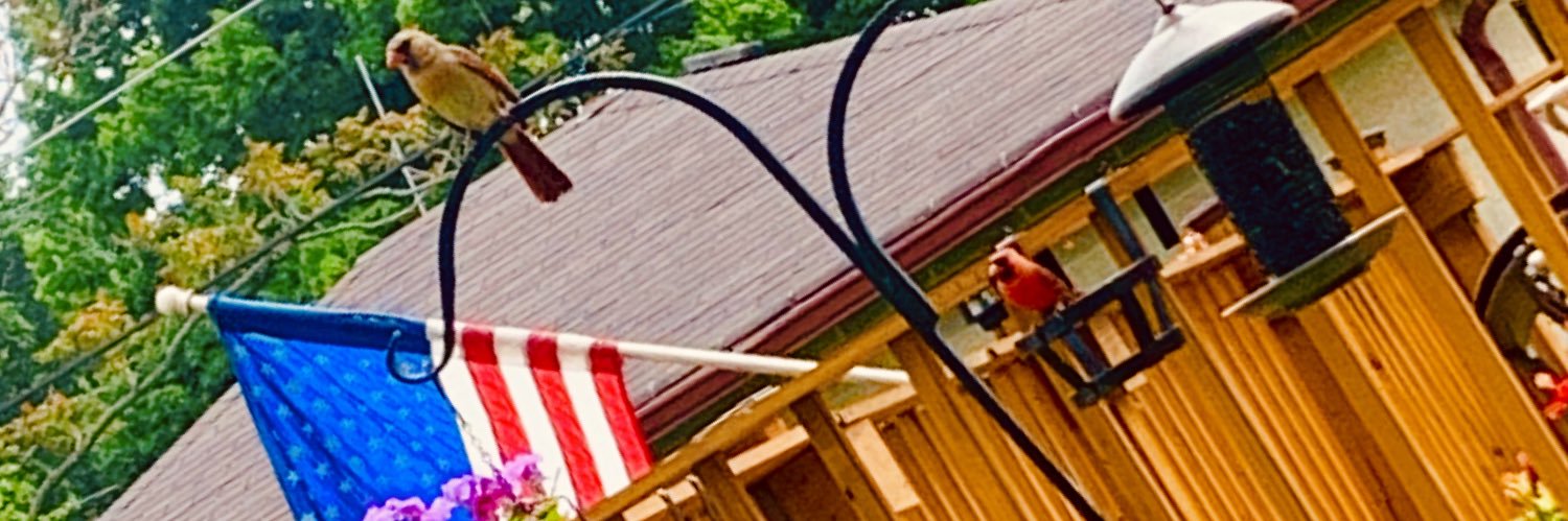 RealTootrill's profile banner image