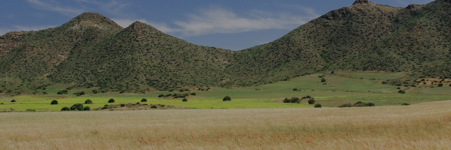 manoloredondoo's profile banner image