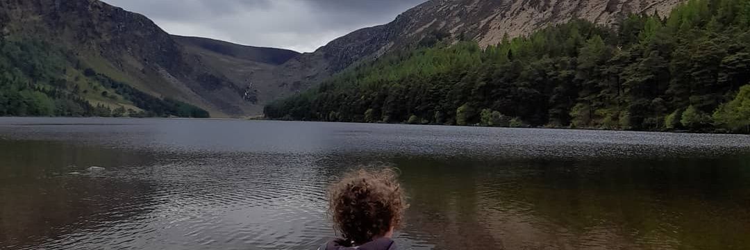 Darragh J Gavin banner