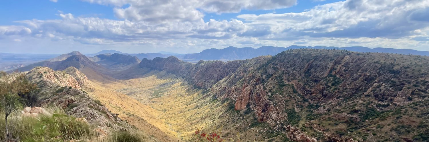 Alexandra Edelman banner
