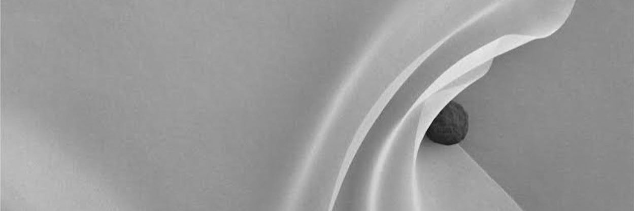 cineca_si's profile banner image