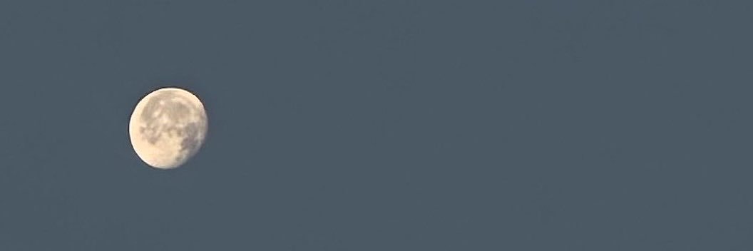 had_y's profile banner image