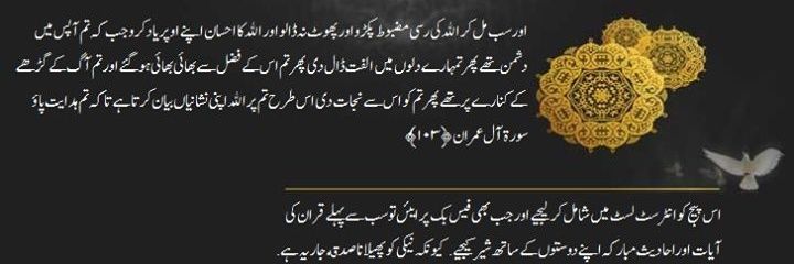 Syed Mohammad Pervez banner