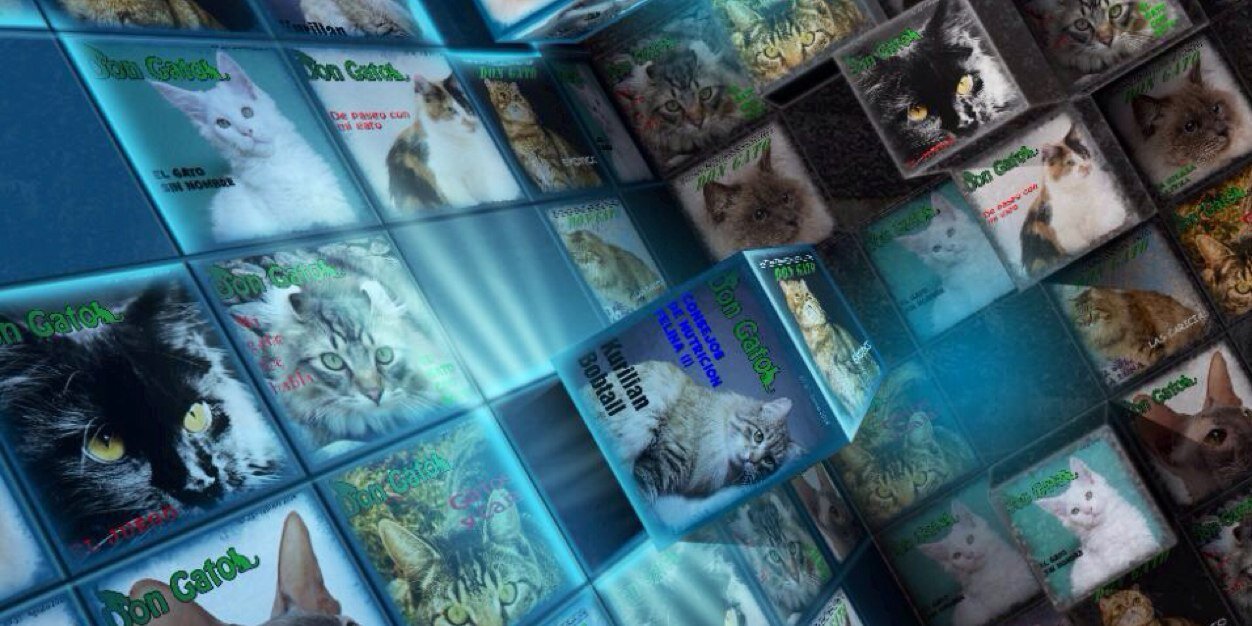 esdongato's profile banner image