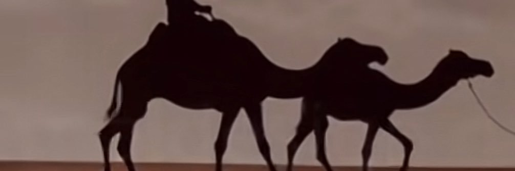ShamisAlkaabi's profile banner image
