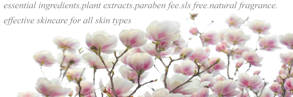 ethicaskincare's profile banner image