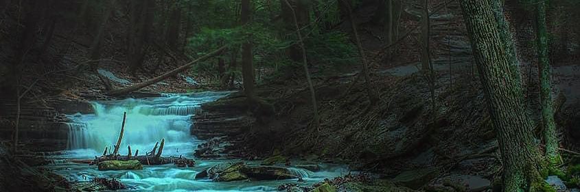 mickeyjj1's profile banner image