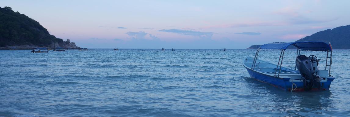 Holly Snelling banner