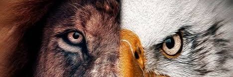 jacksonmachari1's profile banner image