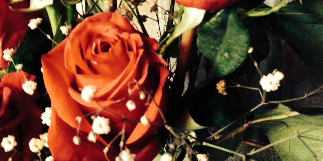 SolRoncaglia's profile banner image