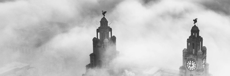 ✌🏼✊🏼 banner