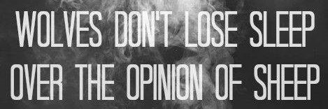 Mickey_blogger's profile banner image