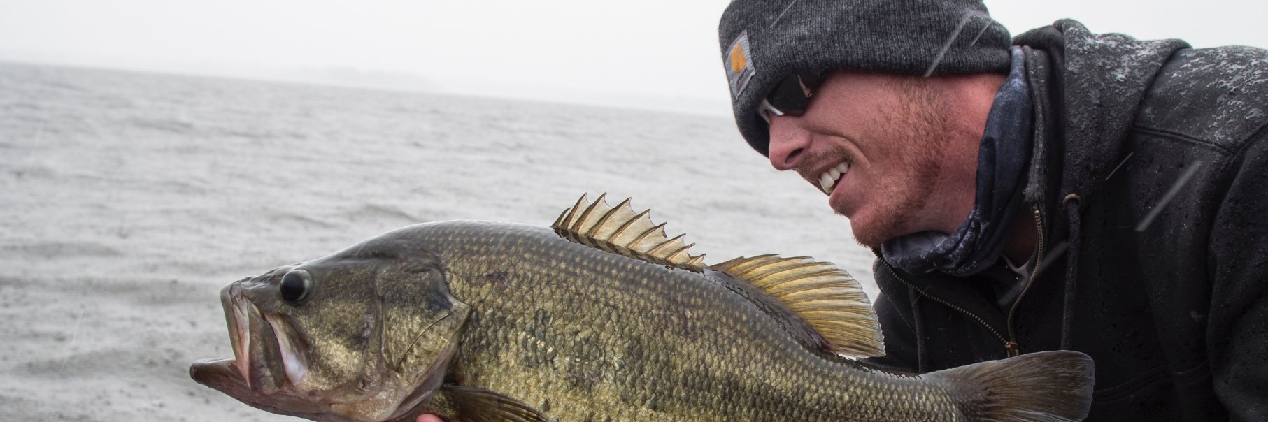 Justin Rackley banner