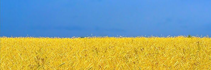 SalemBinx's profile banner image
