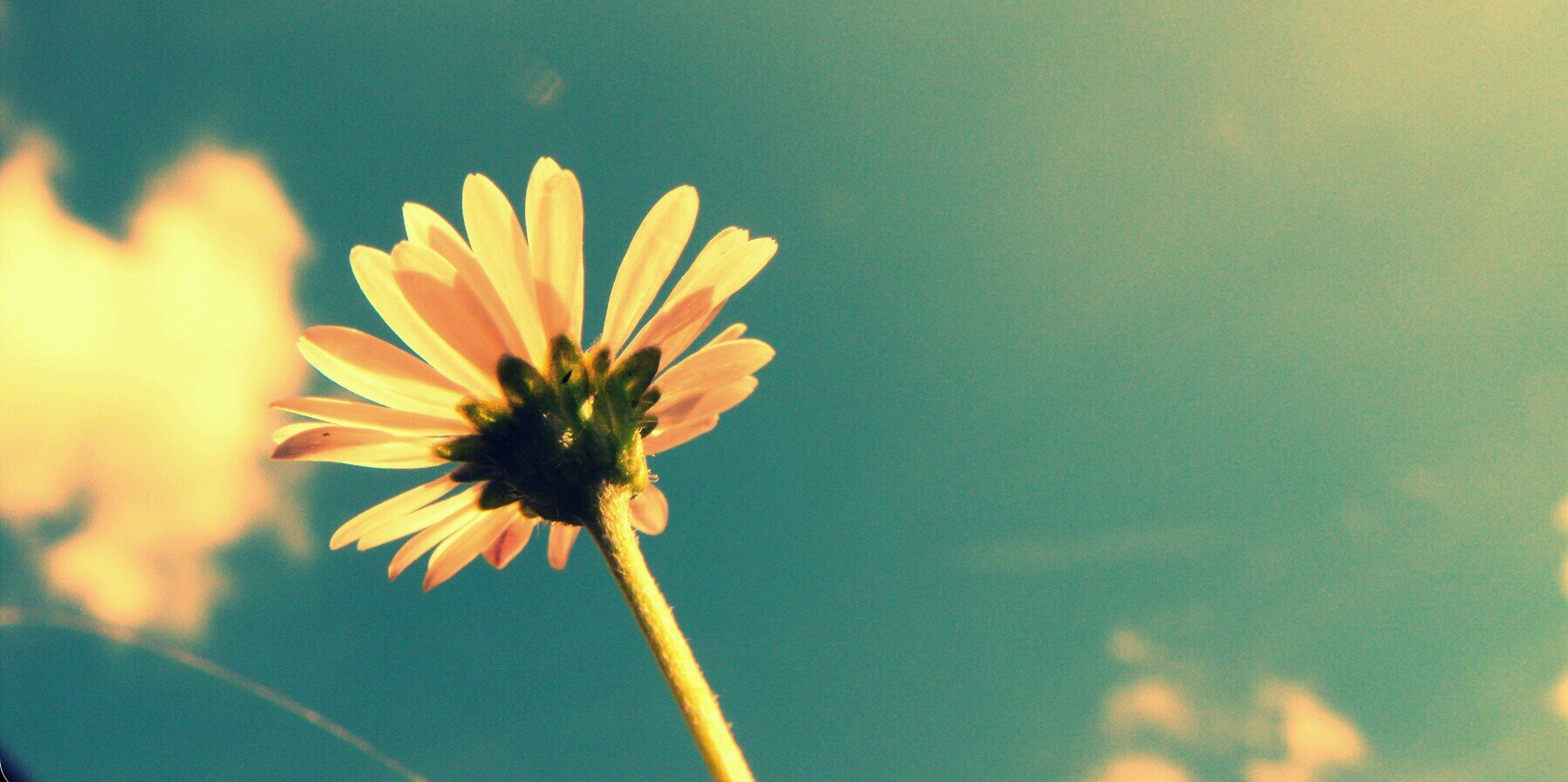 Emiley_T's profile banner image