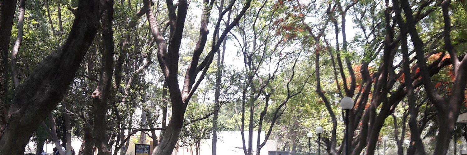 paurocks1's profile banner image