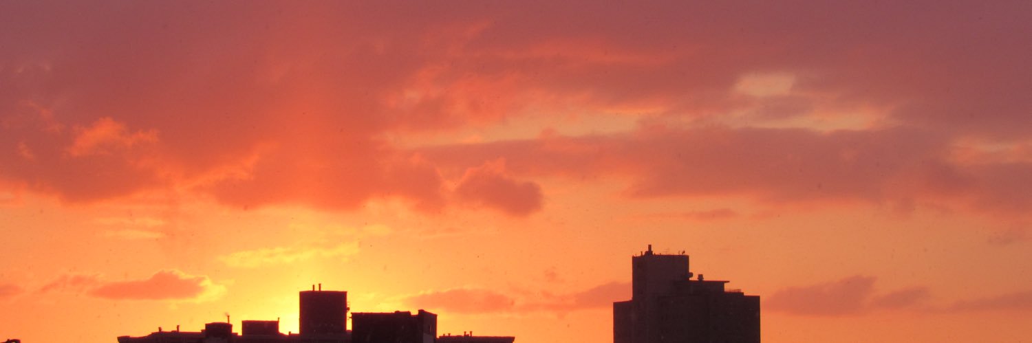 Alexasuydam's profile banner image