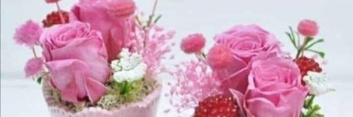 Тамара АлиеVa 🇷🇺ATZ banner