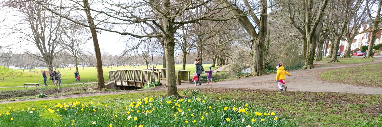 Alex Meredith banner