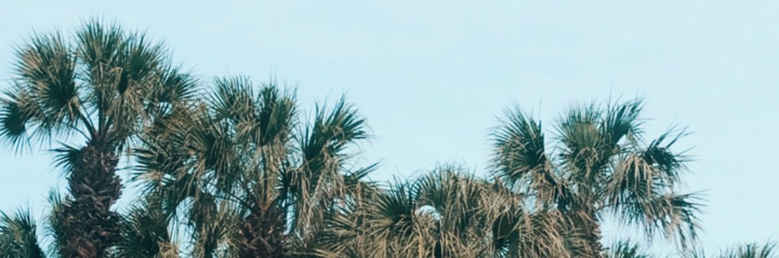 Nicole_985's profile banner image