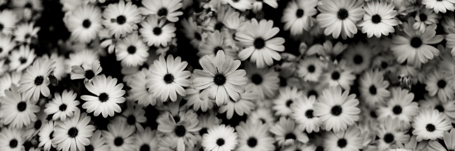 becccaa_marie's profile banner image