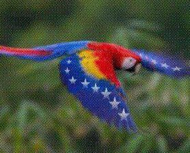 fernandopetacci's profile banner image