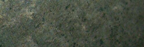 Optical1999's profile banner image