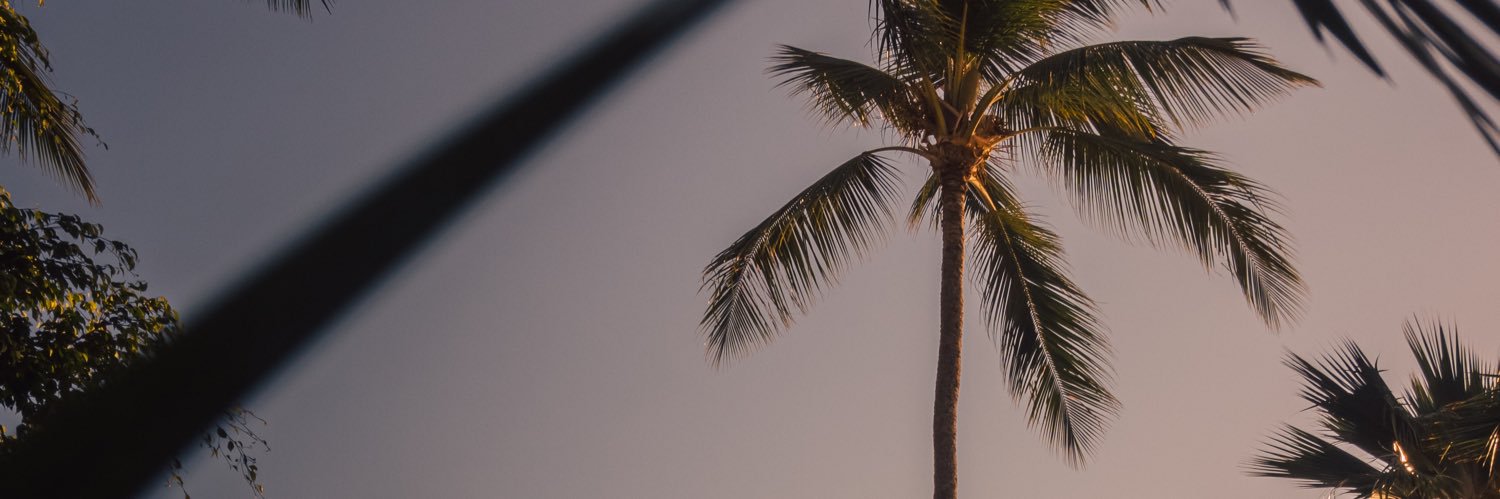 iNAIF's profile banner image