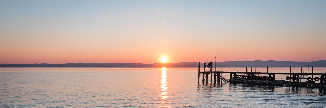 Matteo Orlando banner